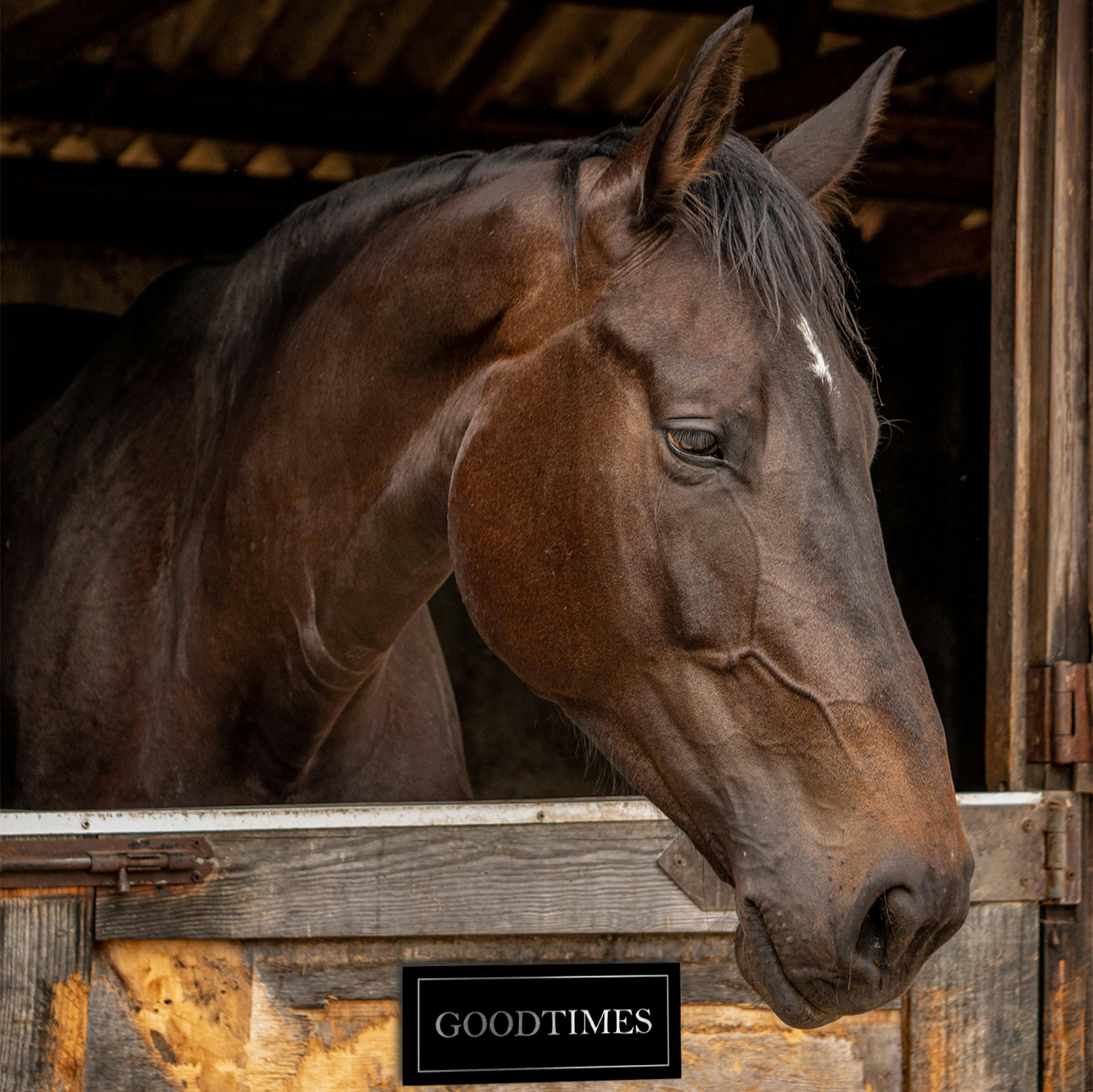 Naambordje paardenstal zwart met rvs letters