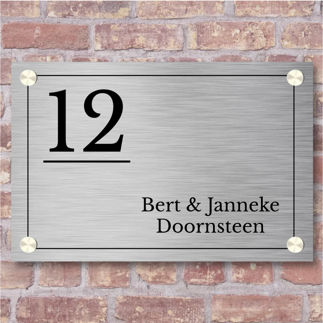 Naambordje voordeur rvs-look rechthoek frame